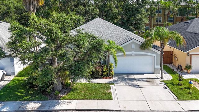 8853 CYPRESS HAMMOCK DRIVE, Tampa, FL 33614