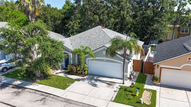 8853 CYPRESS HAMMOCK DRIVE, Tampa, FL 33614