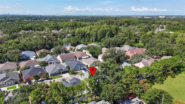 8853 CYPRESS HAMMOCK DRIVE, Tampa, FL 33614