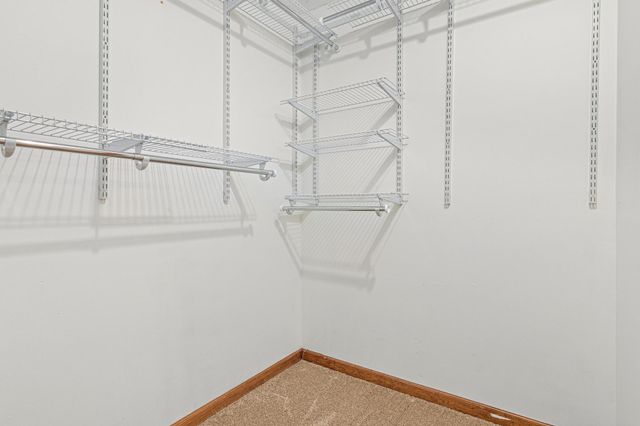 13665 Xavis Street NW, Andover, MN 55304