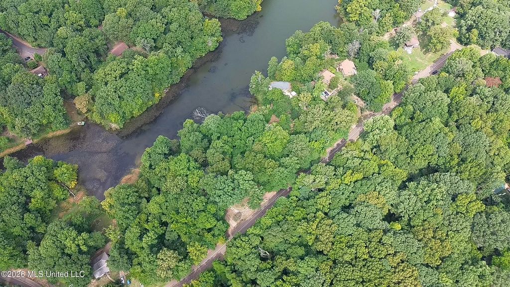 1915 Mattaha Drive, Hernando, MS 38632 — photo 5