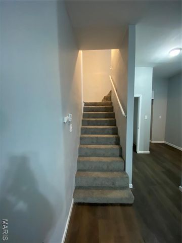 3825 Missouri Avenue, St Louis, MO 63118