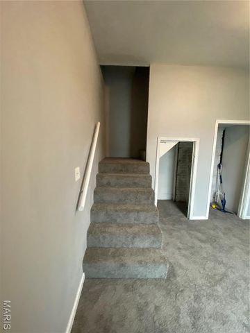 3825 Missouri Avenue, St Louis, MO 63118