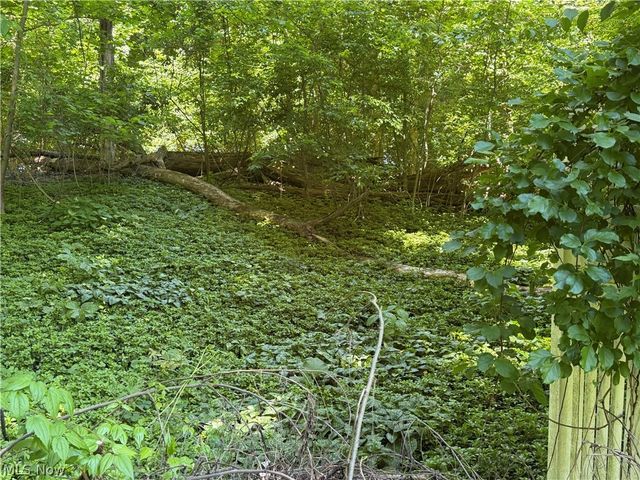 8094 Rolling Brook Road, Northfield, OH 44067