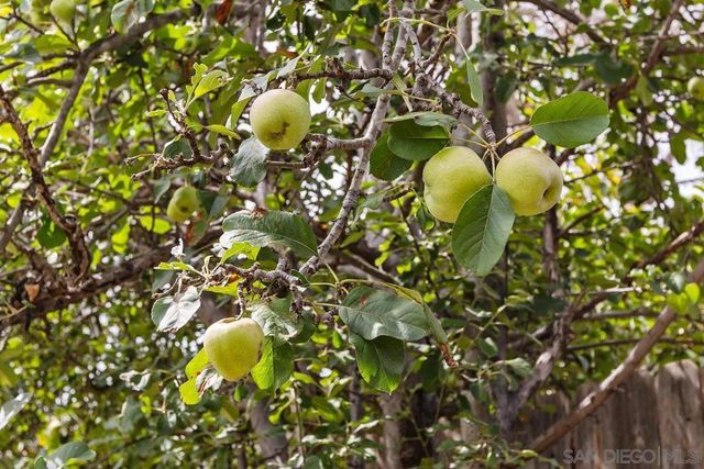 825 Buchanan St., Escondido, CA 92027