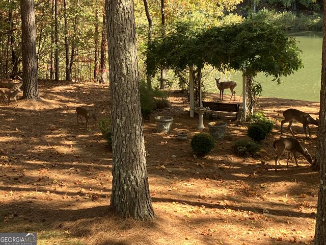 404 Golden Delicious Road, Clarkesville, GA 30523
