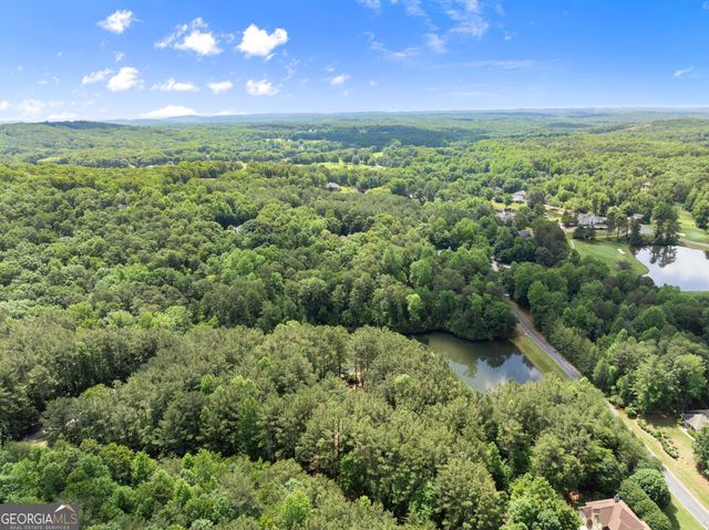 404 Golden Delicious Road, Clarkesville, GA 30523