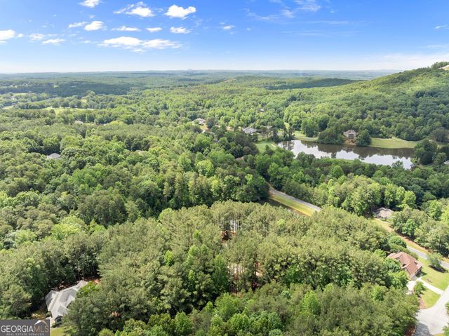 404 Golden Delicious Road, Clarkesville, GA 30523