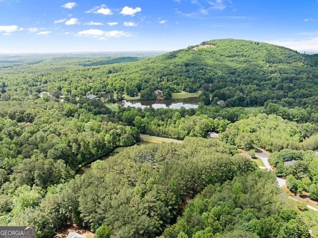 404 Golden Delicious Road, Clarkesville, GA 30523