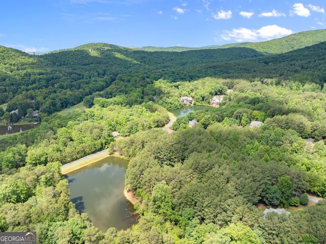 404 Golden Delicious Road, Clarkesville, GA 30523