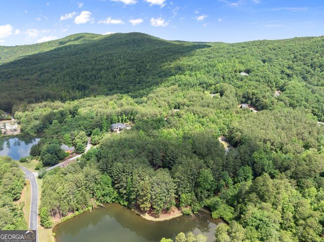 404 Golden Delicious Road, Clarkesville, GA 30523