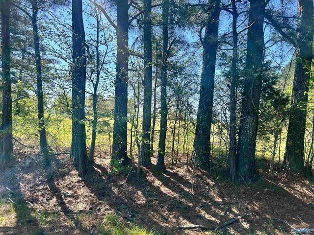 11.22 Brock Road, Ardmore, AL 35739