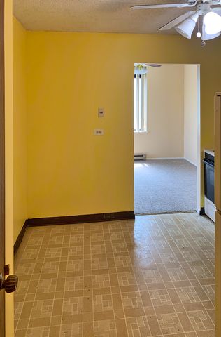 9701 N Dee Road 4N, Niles, IL 60714