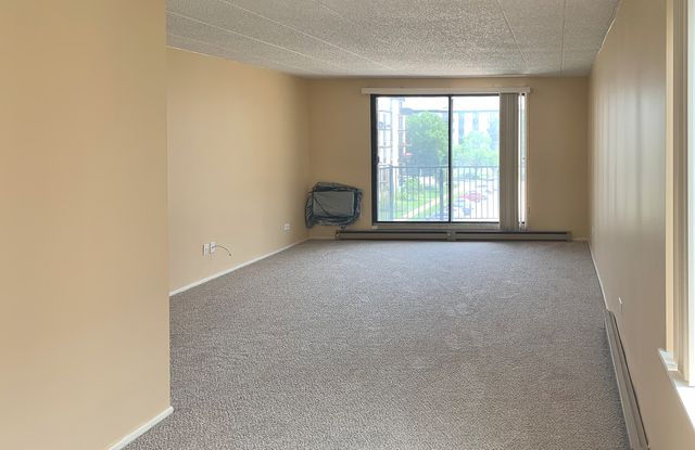 9701 N Dee Road 4N, Niles, IL 60714