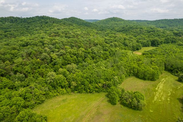 1182 Lego School Rd, Linden, TN 37096