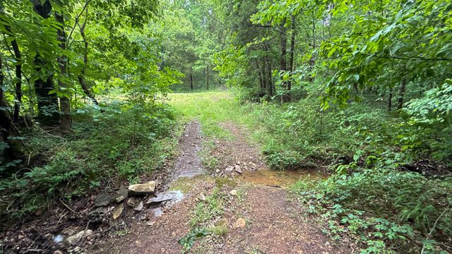 1182 Lego School Rd, Linden, TN 37096