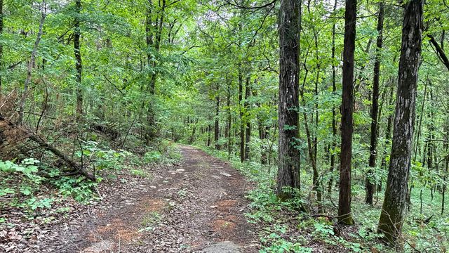1182 Lego School Rd, Linden, TN 37096