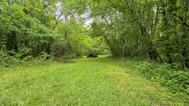 1182 Lego School Rd, Linden, TN 37096