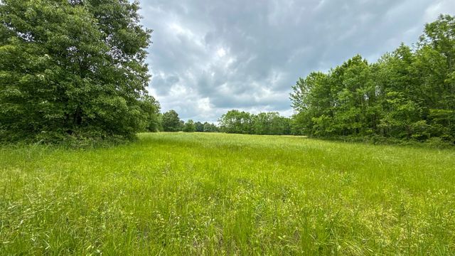 1182 Lego School Rd, Linden, TN 37096