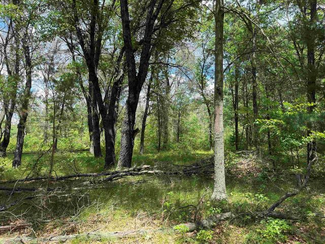 N9888 17th Avenue, Necedah, WI 54646