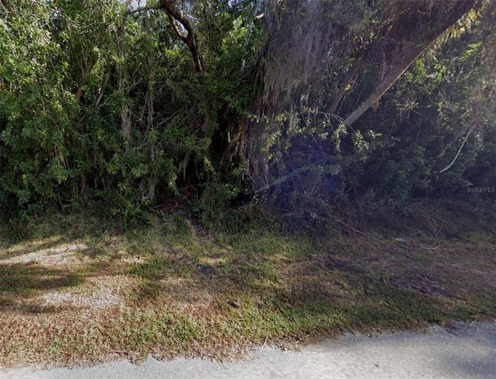 21032 ALPINE AVENUE, Port Charlotte, FL 33952