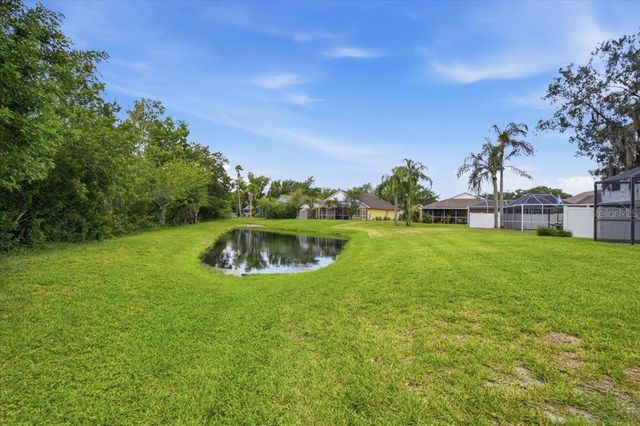 392 TAVERNIER CIRCLE, Oldsmar, FL 34677