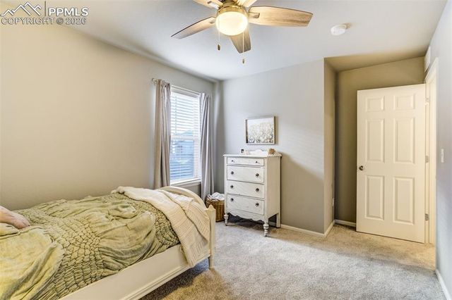 6784 Backcountry Loop, Colorado Springs, CO 80927