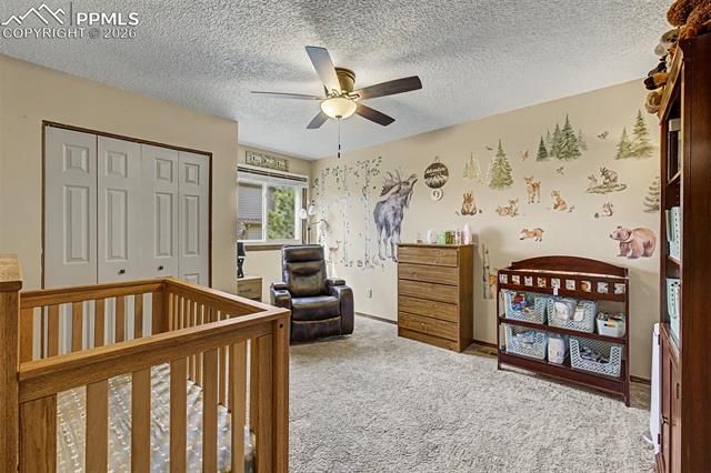 1140 Magic Lamp Way 3, Monument, CO 80132