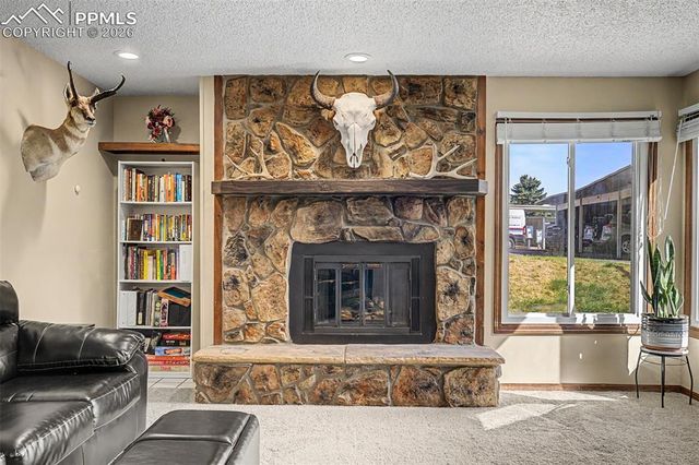 1140 Magic Lamp Way 3, Monument, CO 80132