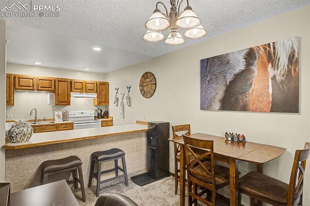 1140 Magic Lamp Way 3, Monument, CO 80132