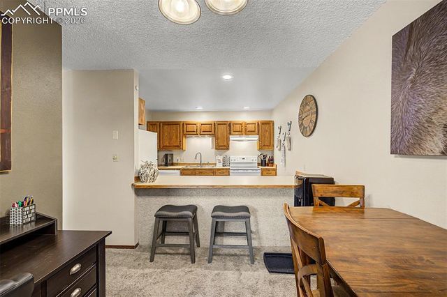 1140 Magic Lamp Way 3, Monument, CO 80132