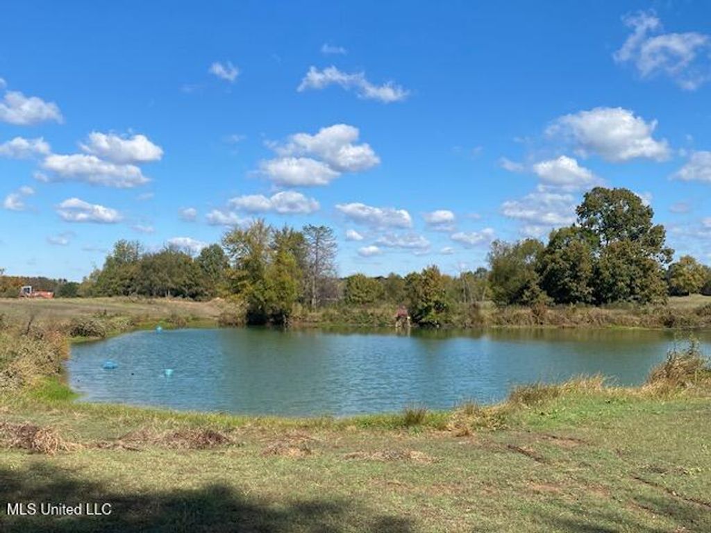 6183 Yellowdog Road, Senatobia, MS 38668 — photo 2