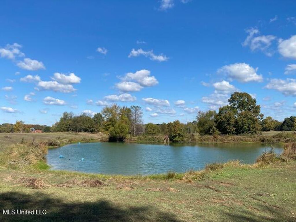 6183 Yellowdog Road, Senatobia, MS 38668 — photo 3