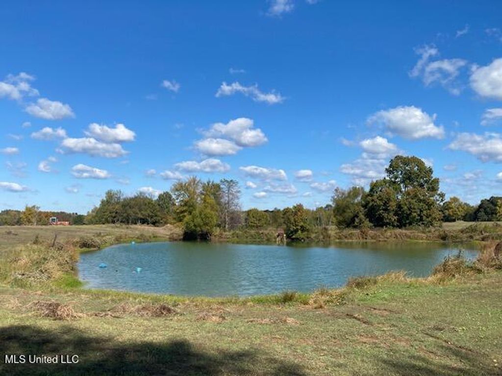 6183 Yellowdog Road, Senatobia, MS 38668 — photo 4