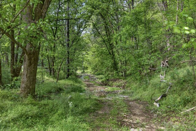 700 Ben Birdwell Ln, Bloomington Springs, TN 38545