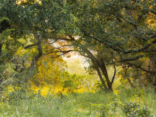 1026 Canyon Bend DR, Dripping Springs, TX 78620