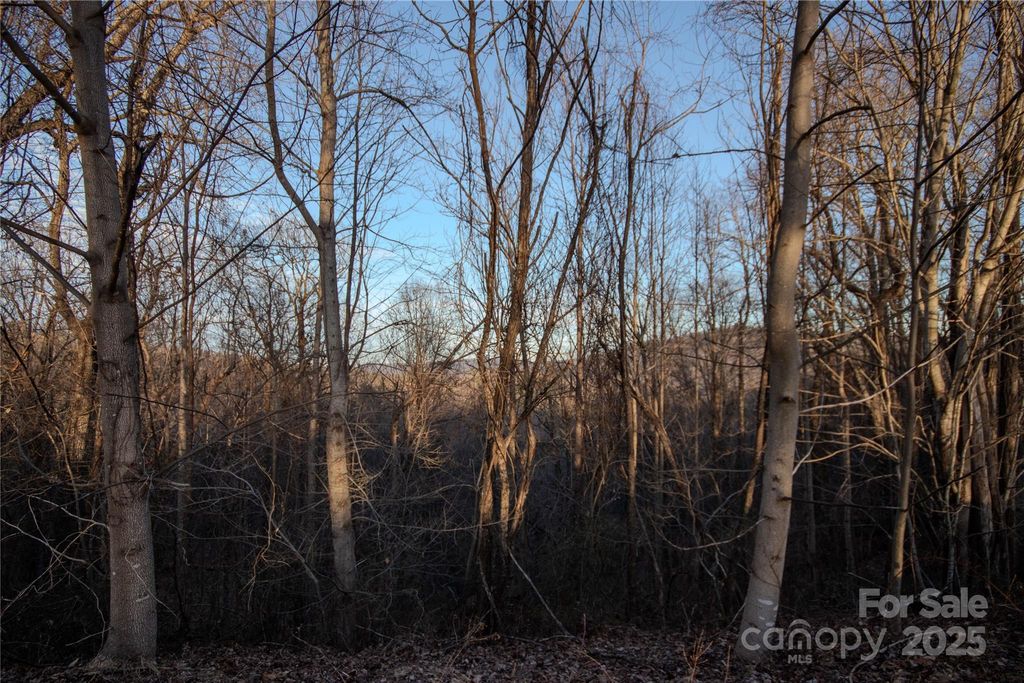 Lot# 22 Autumn Ridge 22, Lenoir, NC 28645