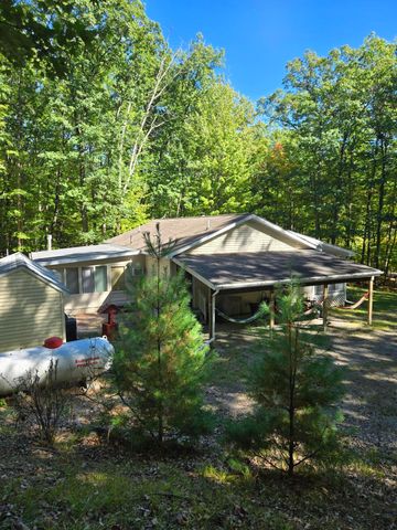 4865 Squirrel, Farwell, MI 48622