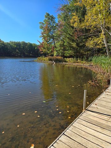 4865 Squirrel, Farwell, MI 48622