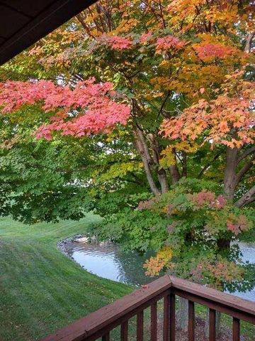 115 S Zeeland Parkway 115, Zeeland, MI 49464