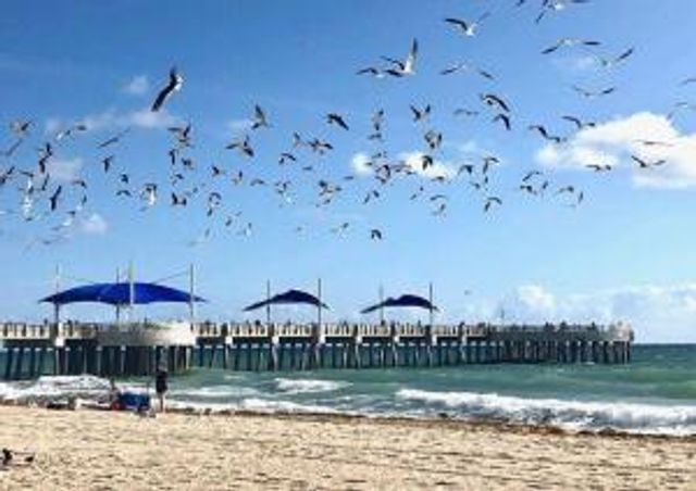 1012 N OCEAN Boulevard 802, Pompano Beach, FL 33062