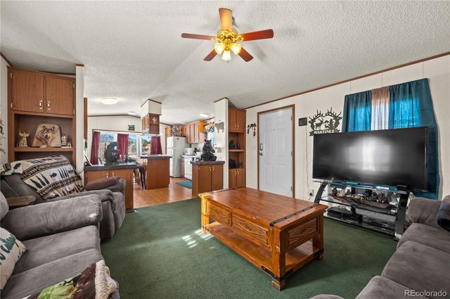 1838 17th Trail, Cotopaxi, CO 81223