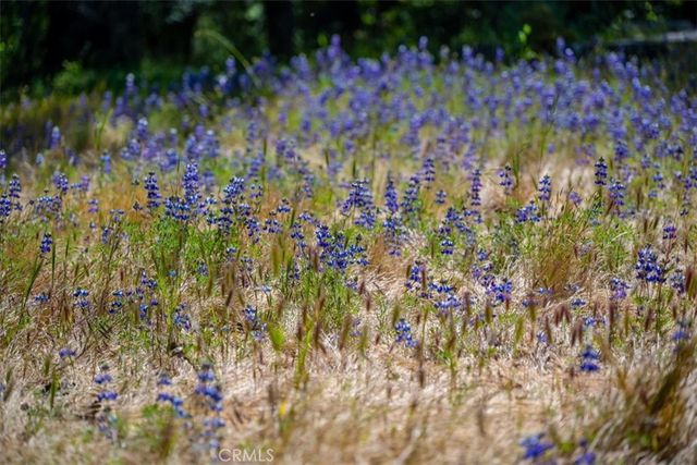 12500 Cenegal, Atascadero, CA 93422