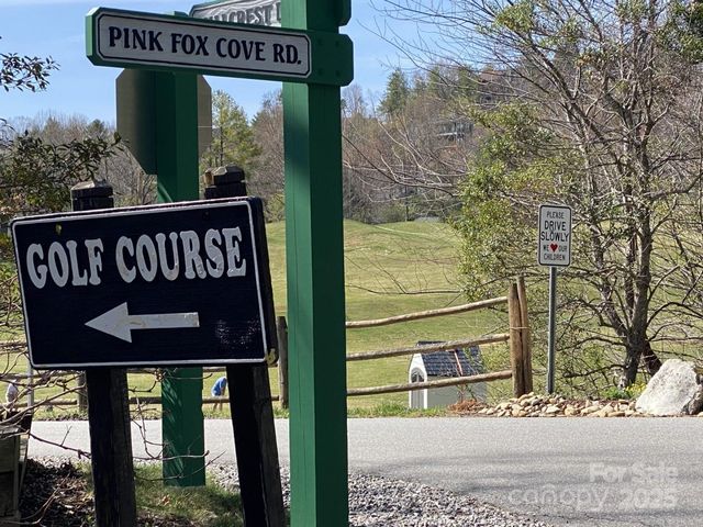 1 Pink Fox Cove Road, Weaverville, NC 28787