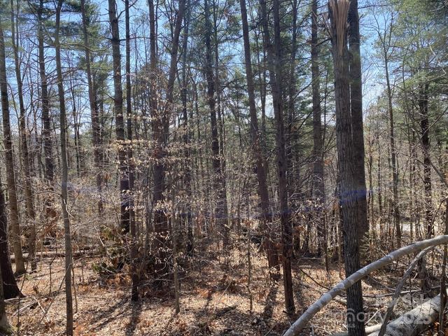 1 Pink Fox Cove Road, Weaverville, NC 28787