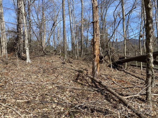 1 Pink Fox Cove Road, Weaverville, NC 28787