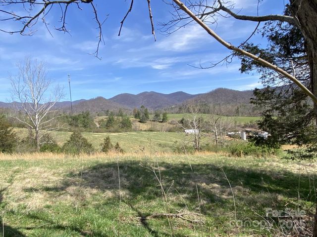 1 Pink Fox Cove Road, Weaverville, NC 28787