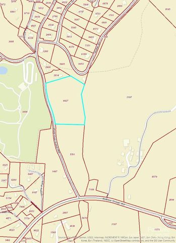 1 Pink Fox Cove Road, Weaverville, NC 28787