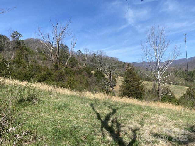 1 Pink Fox Cove Road, Weaverville, NC 28787