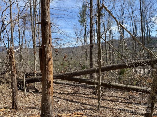 1 Pink Fox Cove Road, Weaverville, NC 28787